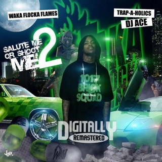 Waka Flocka Flame - Salute Me Or Shoot Me 2 mixtape cover