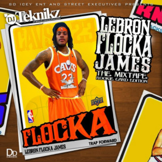 Waka Flocka Flame - LeBron Flocka James mixtape cover