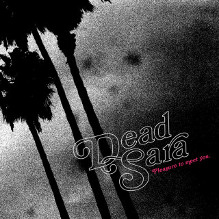 Dead Sara - Pleasure To Meet You album cover