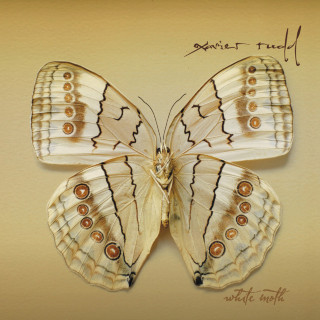 Xavier Rudd - White Moth album cover