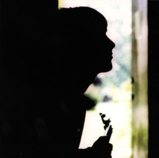 Paul Weller - Wild Wood album cover