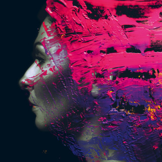 Steven Wilson - Hand. Cannot. Erase. album cover