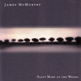 James McMurtry - Saint Mary Of The Woods album cover