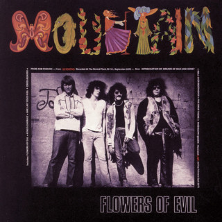 Mountain - Flowers Of Evil album cover