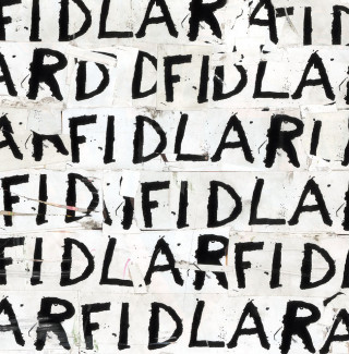 FIDLAR - FIDLAR album cover