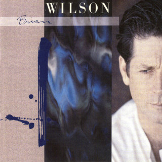 Brian Wilson - Brian Wilson album cover
