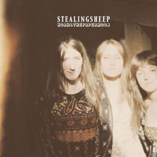 Stealing Sheep - Noah And The Paper Moon album cover