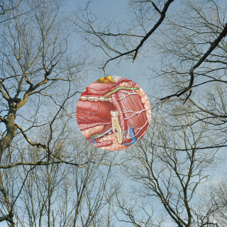 They Might Be Giants - Glean album cover