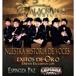 Alacranes Musical - Nuestra Historia De Voces album cover