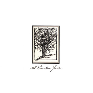 The Avett Brothers - A Carolina Jubilee album cover