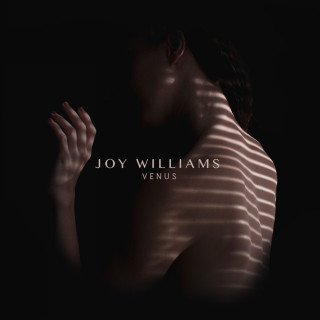 Joy Williams - VENUS album cover