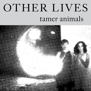 Other Lives - Tamer Animals album cover