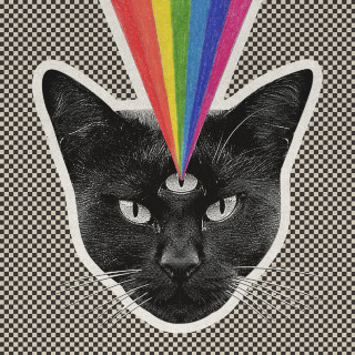 Never Shout Never - Black Cat album cover