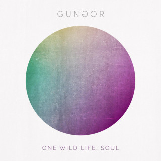 Gungor - One Wild Life: Soul album cover