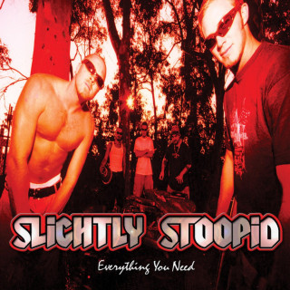 Slightly Stoopid - Everything You Need album cover