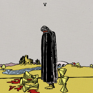 Wavves - V album cover