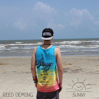 Reed Deming - Sunny EP cover
