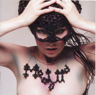 Björk - Medúlla album cover