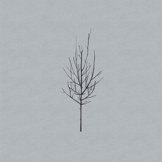 Low - Ones And Sixes album cover