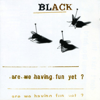 Black - Are We Having Fun Yet? album cover