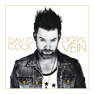 David Cook - Digital Vein album cover