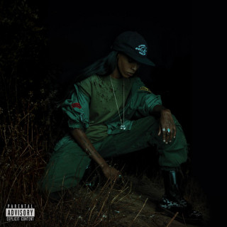 Angel Haze - Back To The Woods album cover