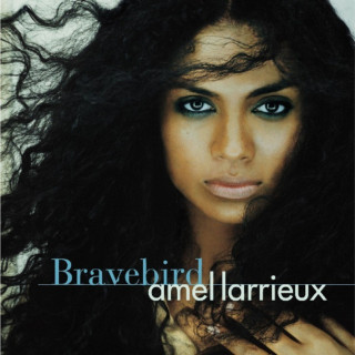 Amel Larrieux - Bravebird album cover