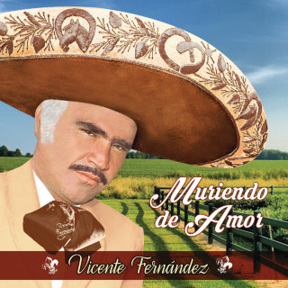 Vicente Fernandez - Muriendo De Amor album cover