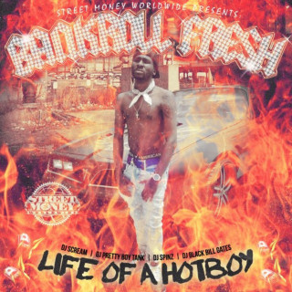 Bankroll Fresh - Life Of A Hot Boy mixtape cover
