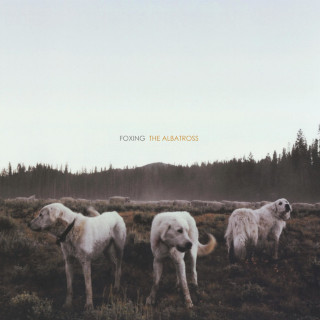 Foxing - The Albatross album cover