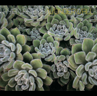 Ryan Adams - Wonderwall single cover
