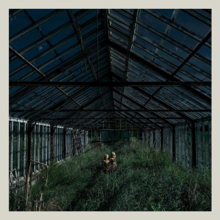 Foxing - Dealer album cover