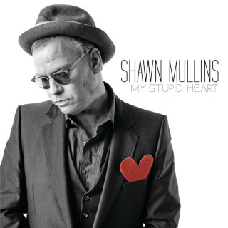 Shawn Mullins - My Stupid Heart album cover