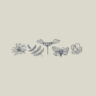Justin Nozuka - Chestnut Spoke To Maple EP cover