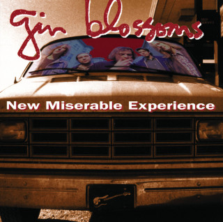 Gin Blossoms - New Miserable Experience album cover