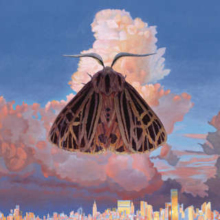 Chairlift - Moth album cover