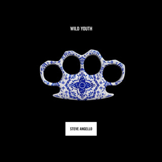 Steve Angello - Wild Youth album cover
