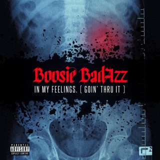 Boosie Badazz - In My Feelings (Goin' Thru It) mixtape cover