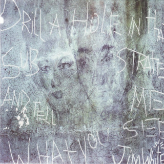 Jim White - Drill A Hole In That Substrate And Tell Me What You See album cover