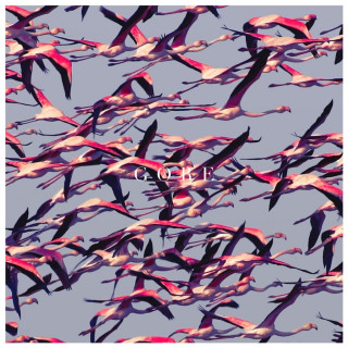 Deftones - Gore album cover