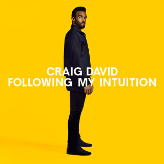 Craig David - Following My Intuition album cover