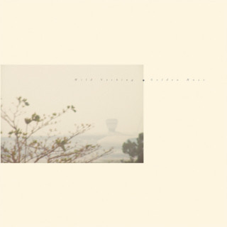 Wild Nothing - Golden Haze EP cover