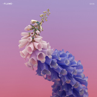 Flume - Skin album cover