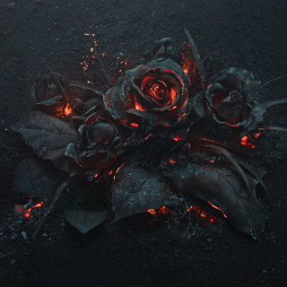 Future - EVOL album cover