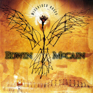 Edwin McCain - Misguided Roses album cover