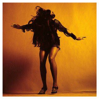 The Last Shadow Puppets - Everything You've Come To Expect album cover