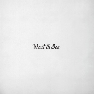 Majical Cloudz - Wait & See EP cover