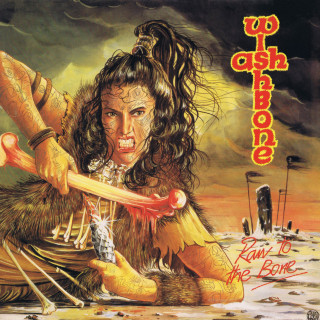 Wishbone Ash - Raw To The Bone album cover