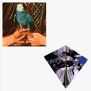 Andrew Bird - Are You Serious album cover