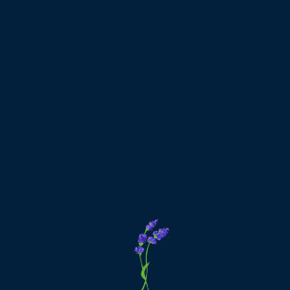 gnash - Us EP cover